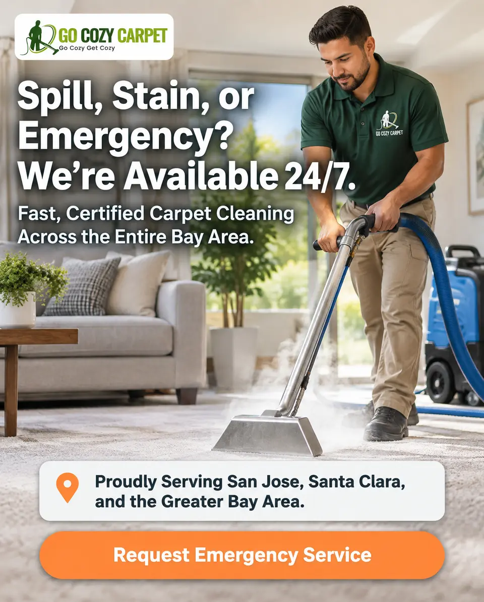 Go Cozy Carpet — Emergency-service concept