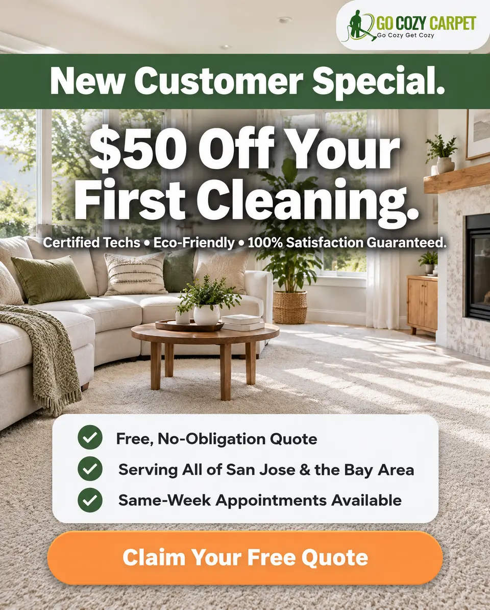 Go Cozy Carpet — Offer-led concept